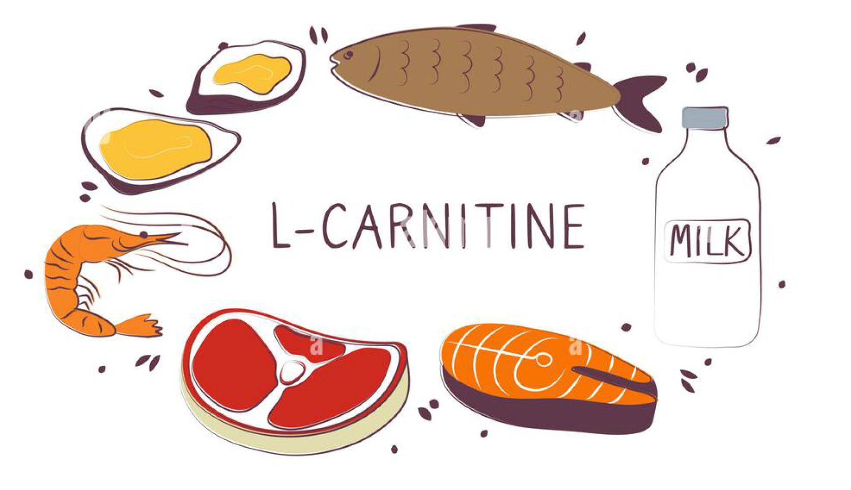 Carnitine